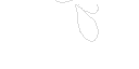 Texture for bug
