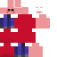 Texture for Piggy