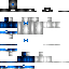 Texture for harbourseal
