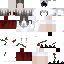 Texture for ds