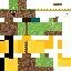 Texture for custom5