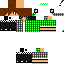Texture for steve