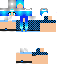 Texture for steve