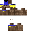 Texture for steve