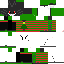 Texture for robotito501