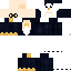 Texture for Penguino