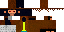 Texture for max
