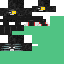 Texture for Wither
