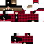 Texture for PasHok2