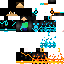 Texture for 1231