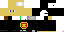 Texture for pkreporta