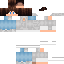 Texture for NICE_WISP