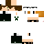 Texture for Mikethelink gc