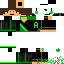 Texture for leo