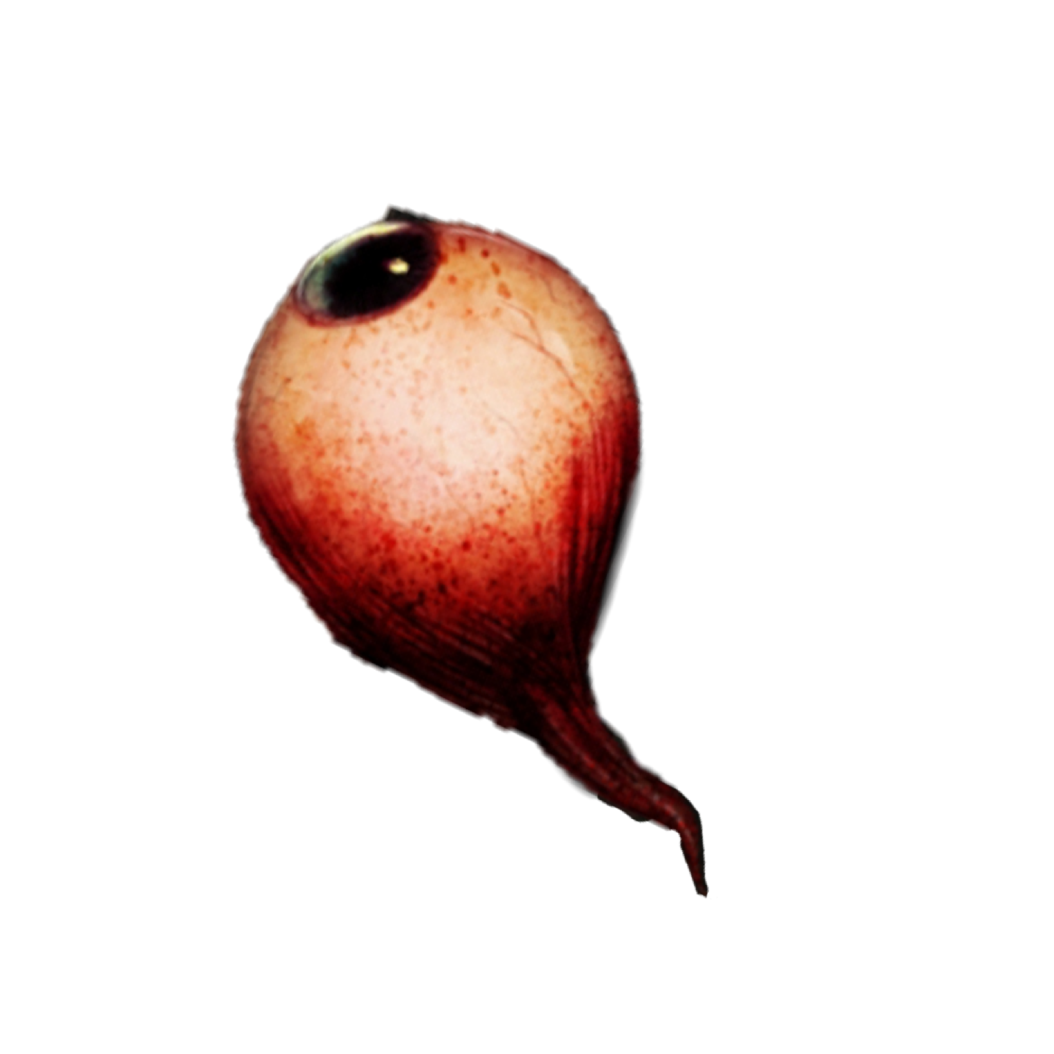 Texture for Ripped out eyeball