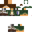 Texture for ragas pym