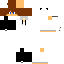 Texture for PandaBoy