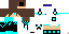 Texture for fv