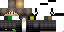 Texture for dodo