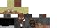 Texture for wanderer