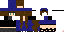 Texture for Security Guard