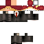 Texture for stegi for president