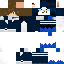 Texture for penguin viole 2brcorr