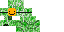 Texture for dream skin creeper orange