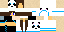 Texture for Panda00111