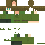 Texture for Lithuania