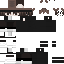 Texture for kir4___