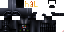 Texture for dart veder