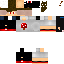 Texture for ds9999