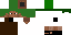 Texture for tony