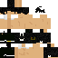 Texture for Bully