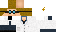 Texture for Lab Dude