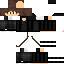 Texture for stevin13