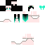 Texture for caticraft