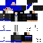 Texture for Nova-Raven