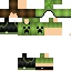 Texture for creeperab