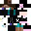 Texture for Pigxell