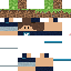 Texture for PacForce2013