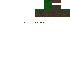 Texture for Grass Block Head