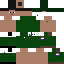 Texture for STEVE