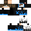 Texture for Robin 1