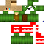 Texture for  turtle the Christmas turtle