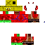Texture for rayxer