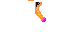 Texture for Pelytra