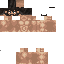 Texture for Adan 4.0 fixed