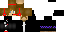 Texture for The miner